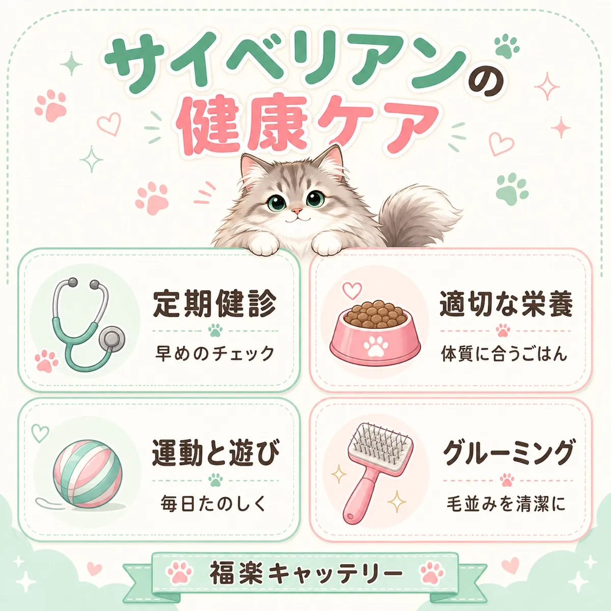 猫の健康ケア4つの要点を示す解説イラスト